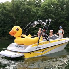 Big Air Cuda tower - 2002 Crownline 210 - Black Aluminum- Wakeboard tower (1)