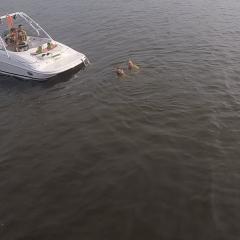 Big Air Cuda Tower - 2006 Four Winns 240 Horizon - Polished ALuminum- wakeboard tower (2)