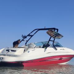 Big Air Cuda Tower - 2007 SeaRay Sundeck 220 - Black aluminum - wakeboard tower